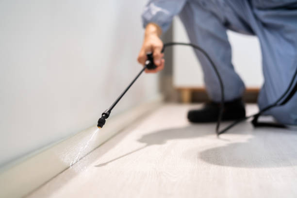Licensed Pest Control service in McMechen, WV - Show Me Pest Control