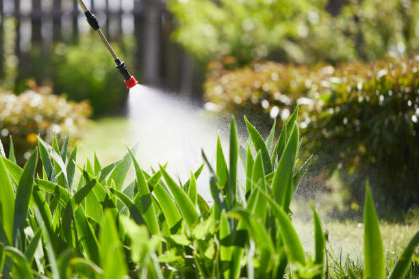 24/7 Emergency Wasp Removal experts in McMechen, WV